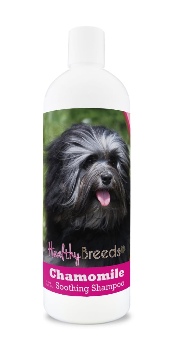 840235199441 8 oz Lowchen Chamomile Soothing Dog Shampoo
