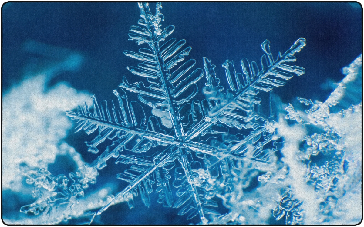 FA1535-44FS 7 ft. 6 in. x 12 in. Snow Carpet