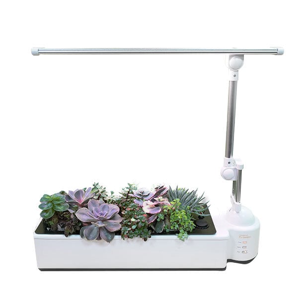 O2 Light Garden- Succulents - 21 Pots