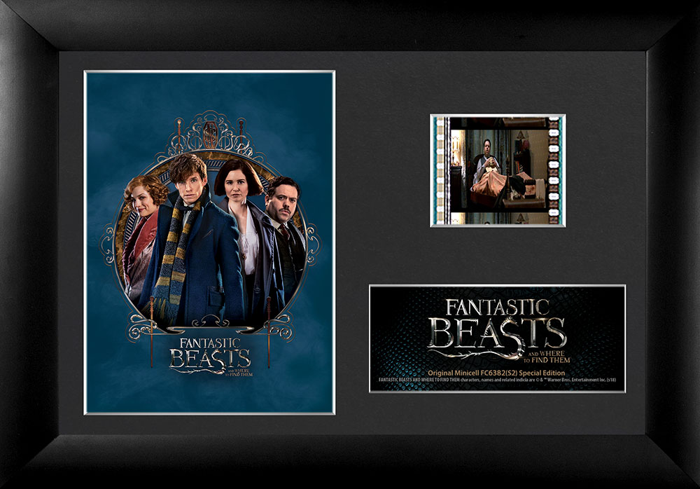 Fantastic Beasts Minicell S2 Film Cell Presentation