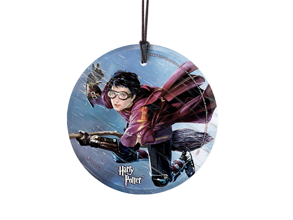 Harry Potter Quidditch StarFire Prints Hanging Glass
