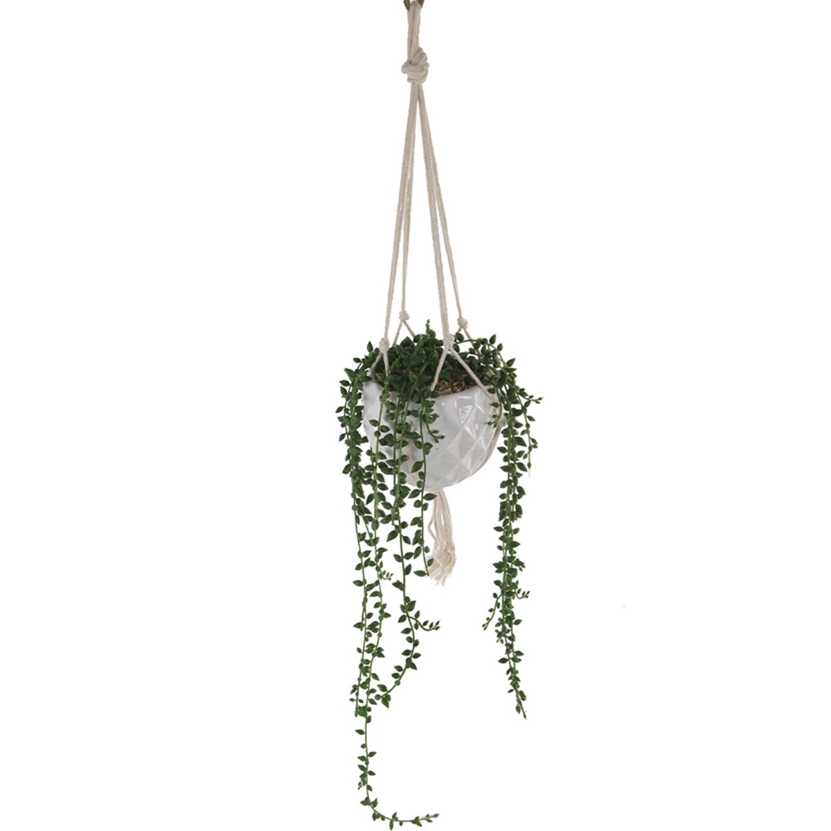 4 x 4 x 12 in. String of Pearls Macrame Hanging Ceramic Donkey Tails Faux Succulent Planter