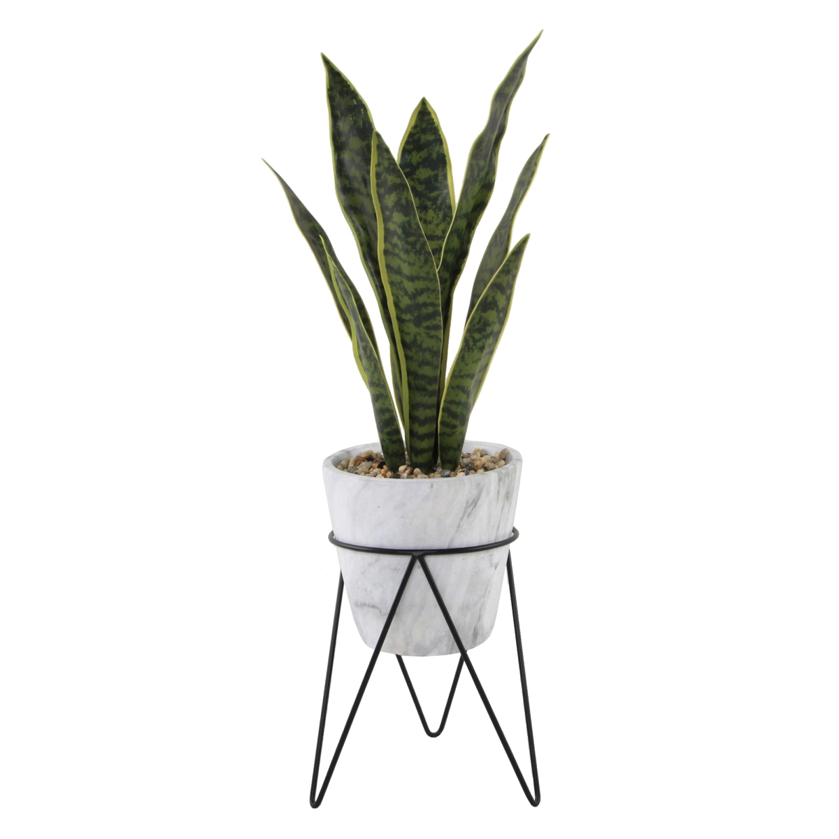 1.75 ft. Snake Plant in Marble on Metal Stand