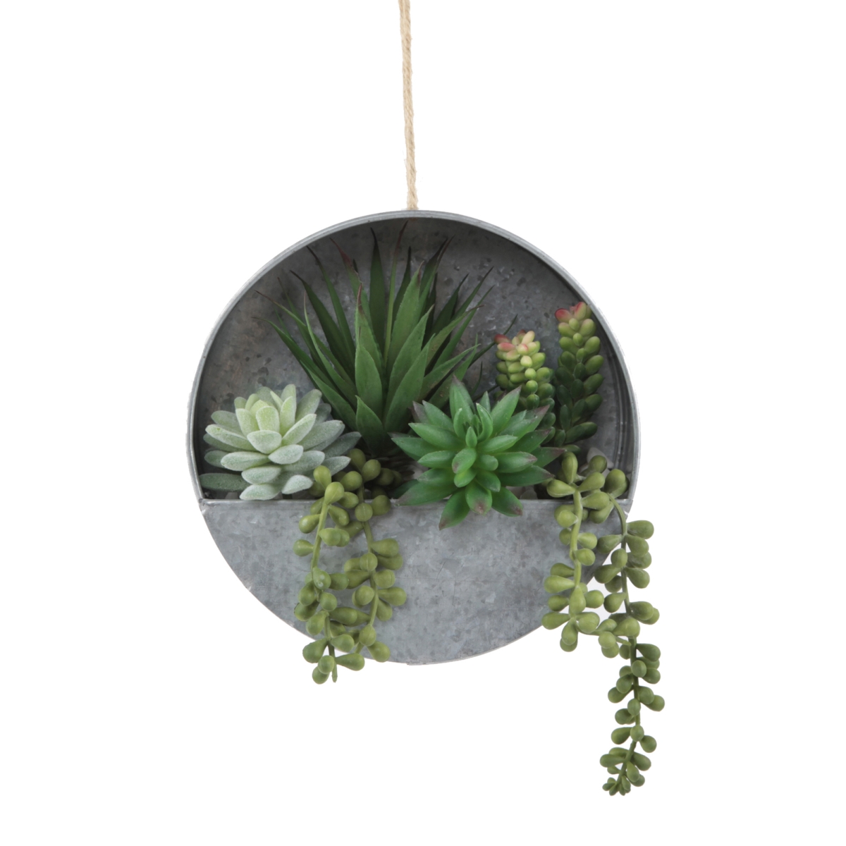 8 in. Succulent in Hanging Galvanised Tin Wall Planter