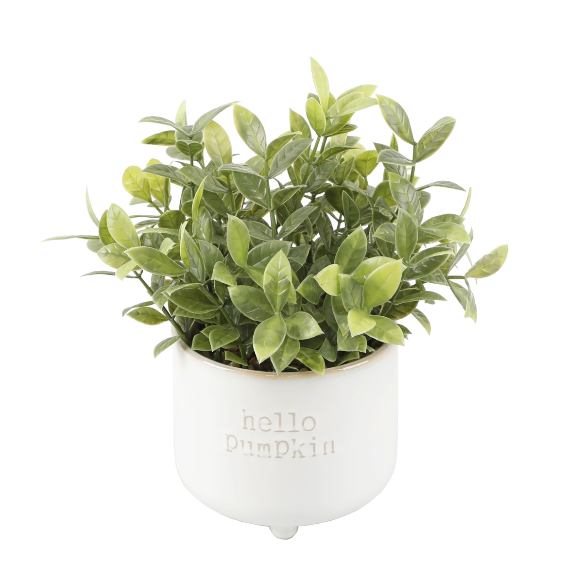 Tealeaf in MD Hello Pumpkin Ceramic Footed Pot 5X5X4.75