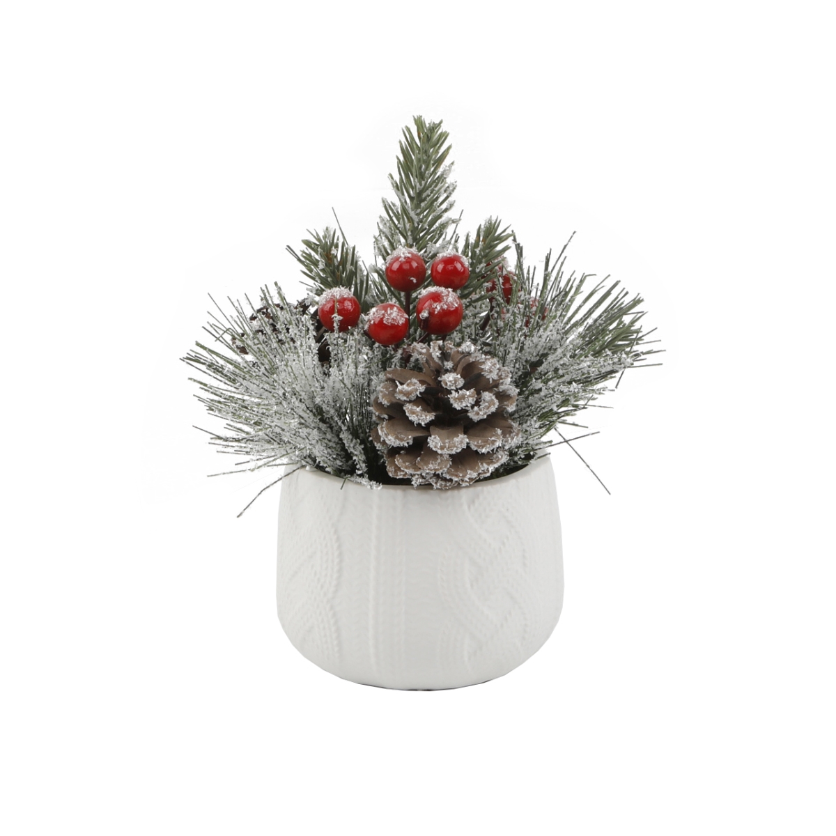 Xmas Mix in  White Sweater Ceramic Pot 3.5X3.5X3