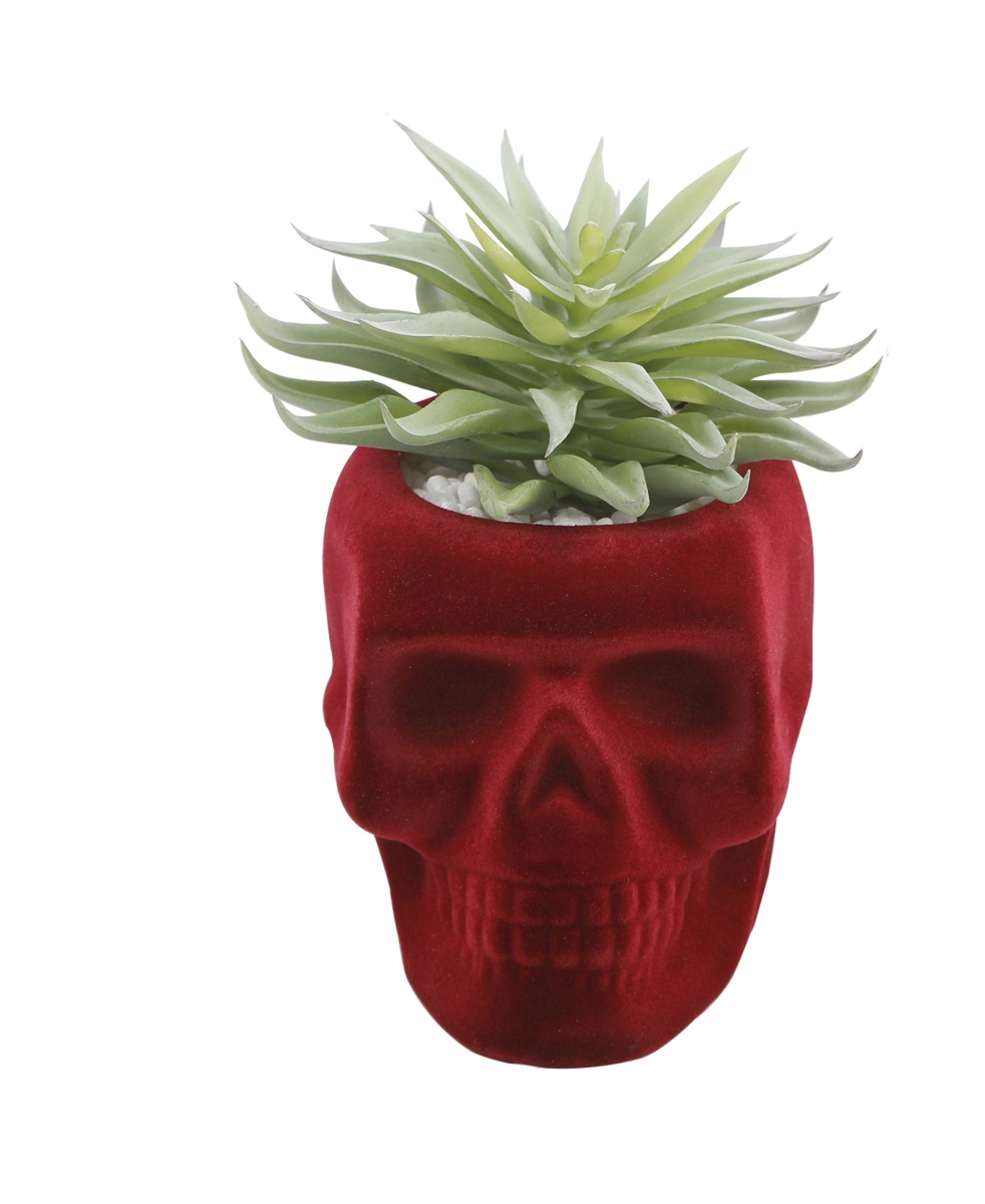 Succ in Burgundy Flocked Skull  Ceramic 3.75X4.5X4