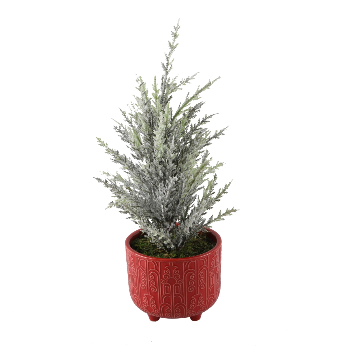 14' Xmas tree in 4.5' Vintage Footed Pot