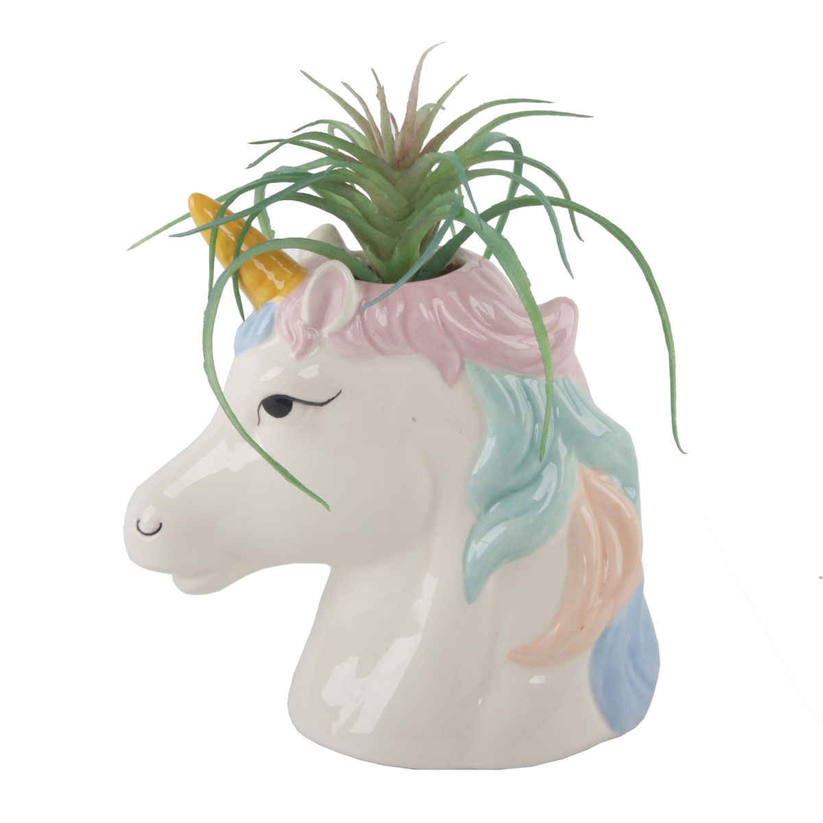 Succulent in 6' Tall Multi Color Ceramic Unicorn Pot