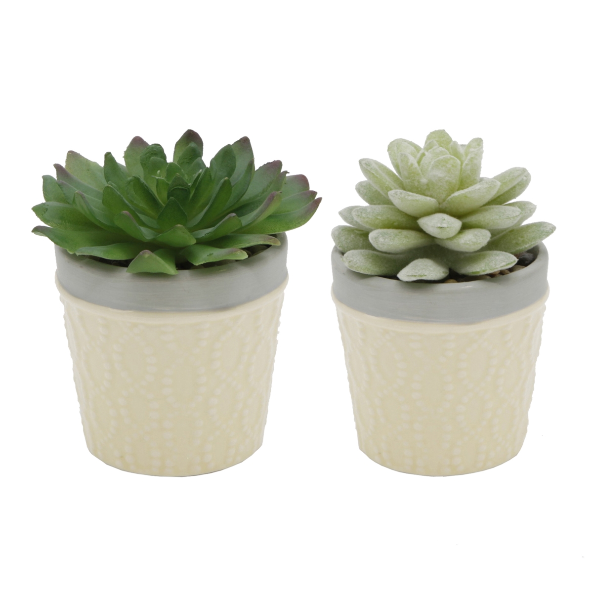 SET OF 2 SUCC  DRESS ICECRAM  YELLOW POT