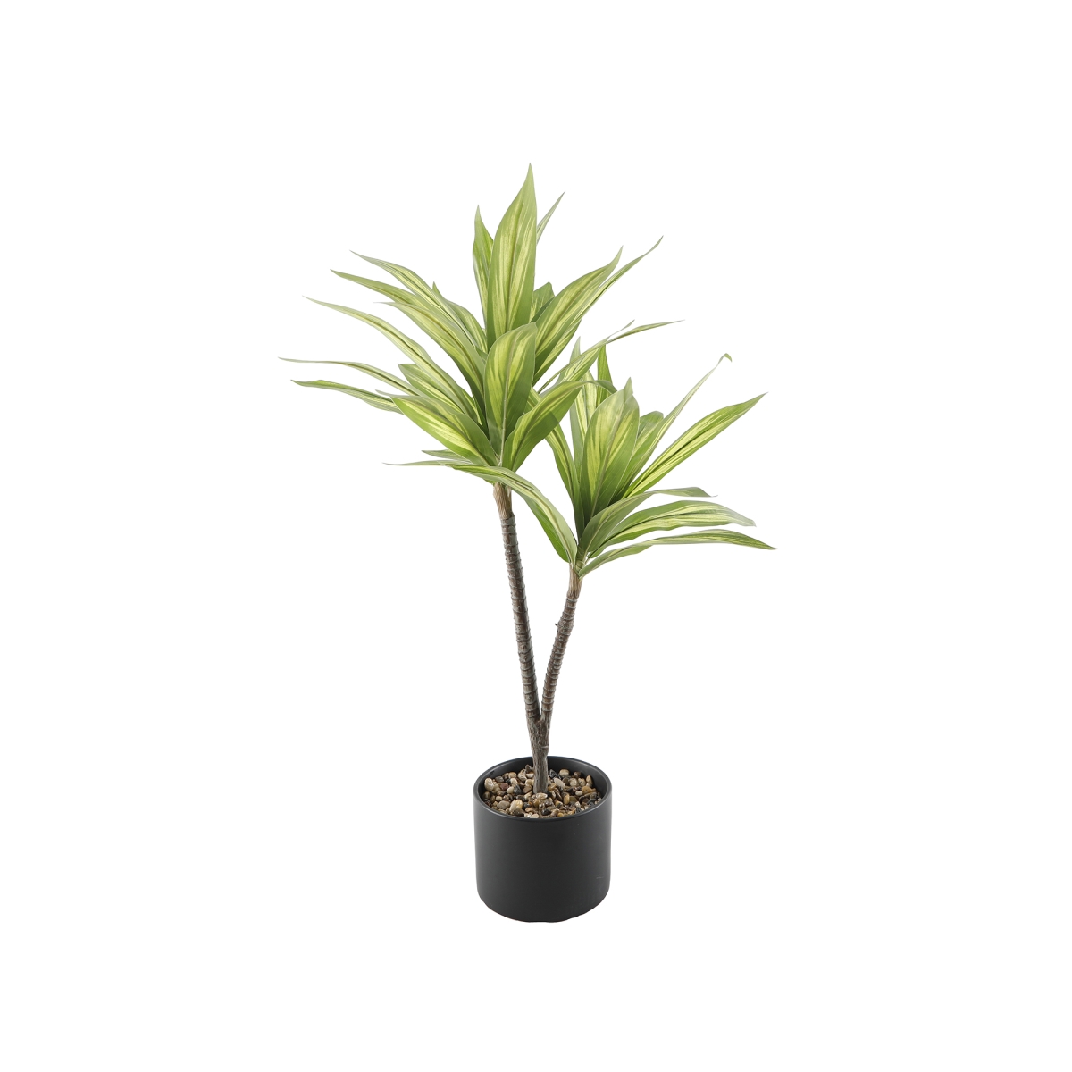 36'H Palm in 8' Ceramic 7.625X7.625X6