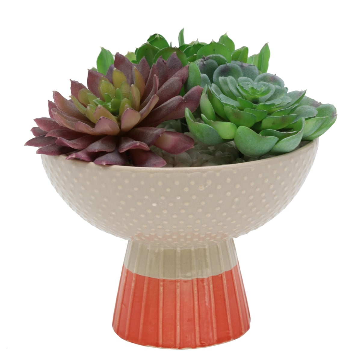 Succulent Mix in Two Tone Bowl Ceramic Planter,Beige/Orange