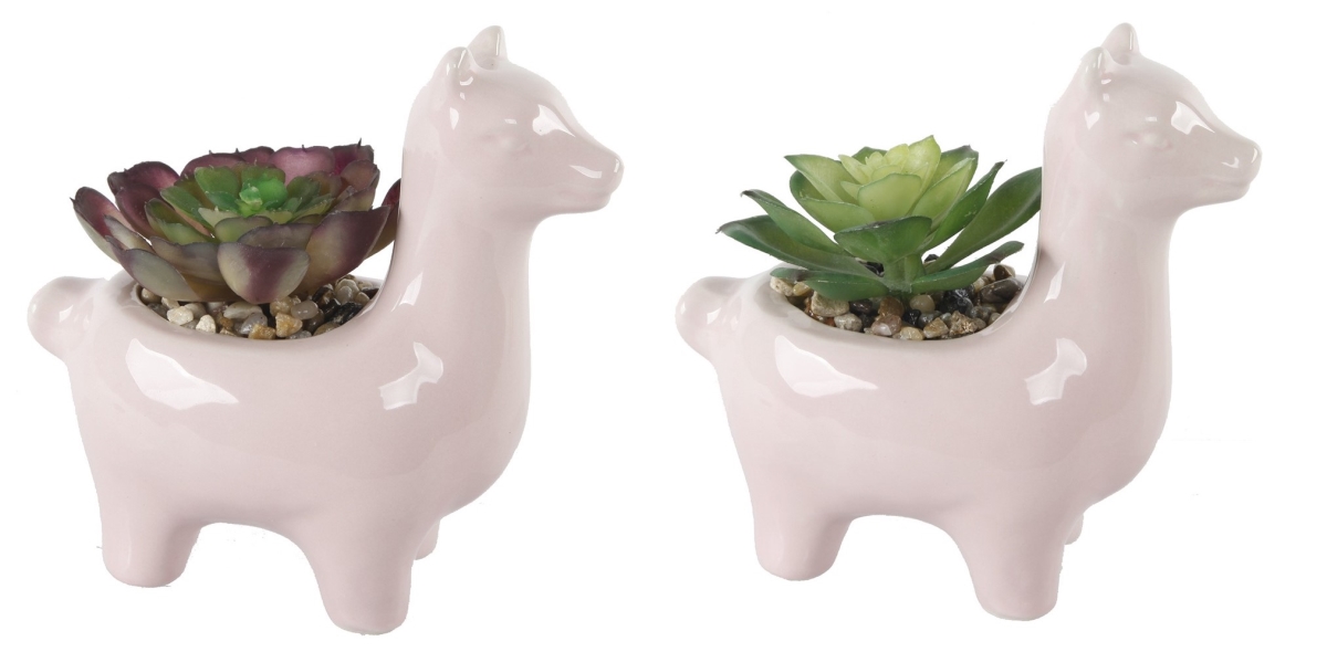 SET OF 2 PINK CERAMIC LLAMA SUCC  5.5'