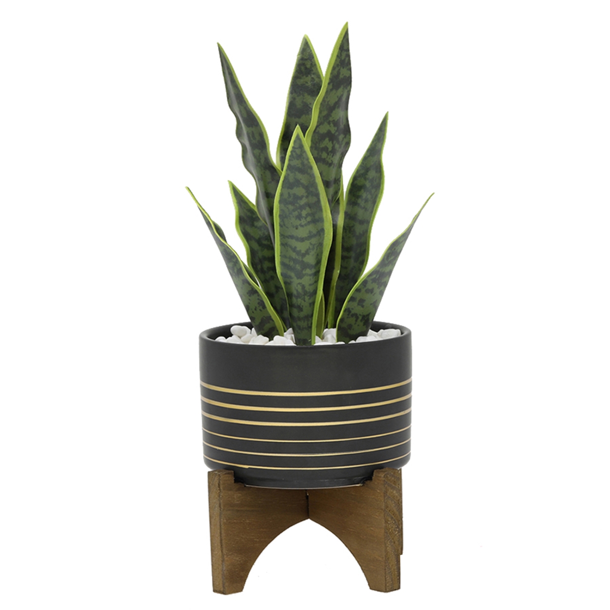 Snake Plant in Ceramic Planter on Wood Stand - Black/White - 12in.H