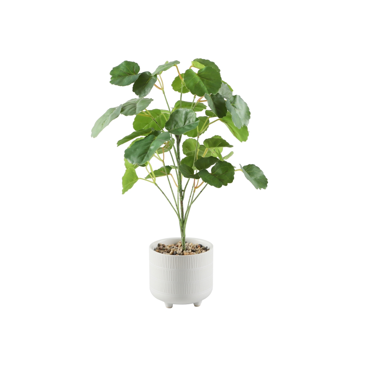 17.5''H Pilea in 4.75' Ceramic Footed 4.7X4.7X4.3