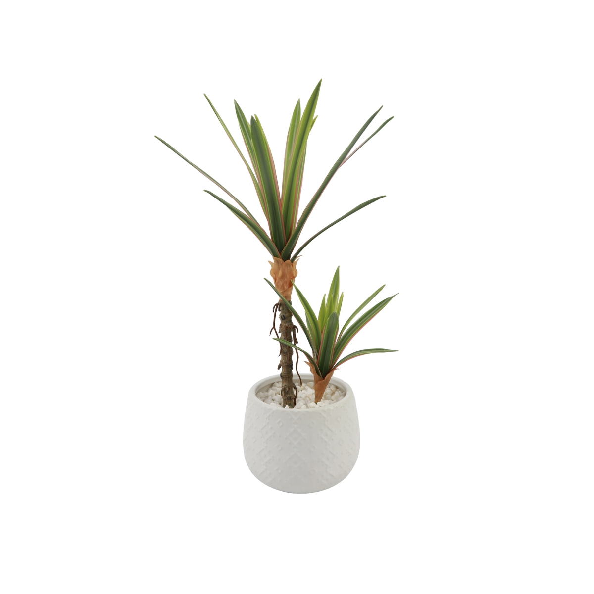 Real-touch Yucca Plant Ceramic 5X5X3.75