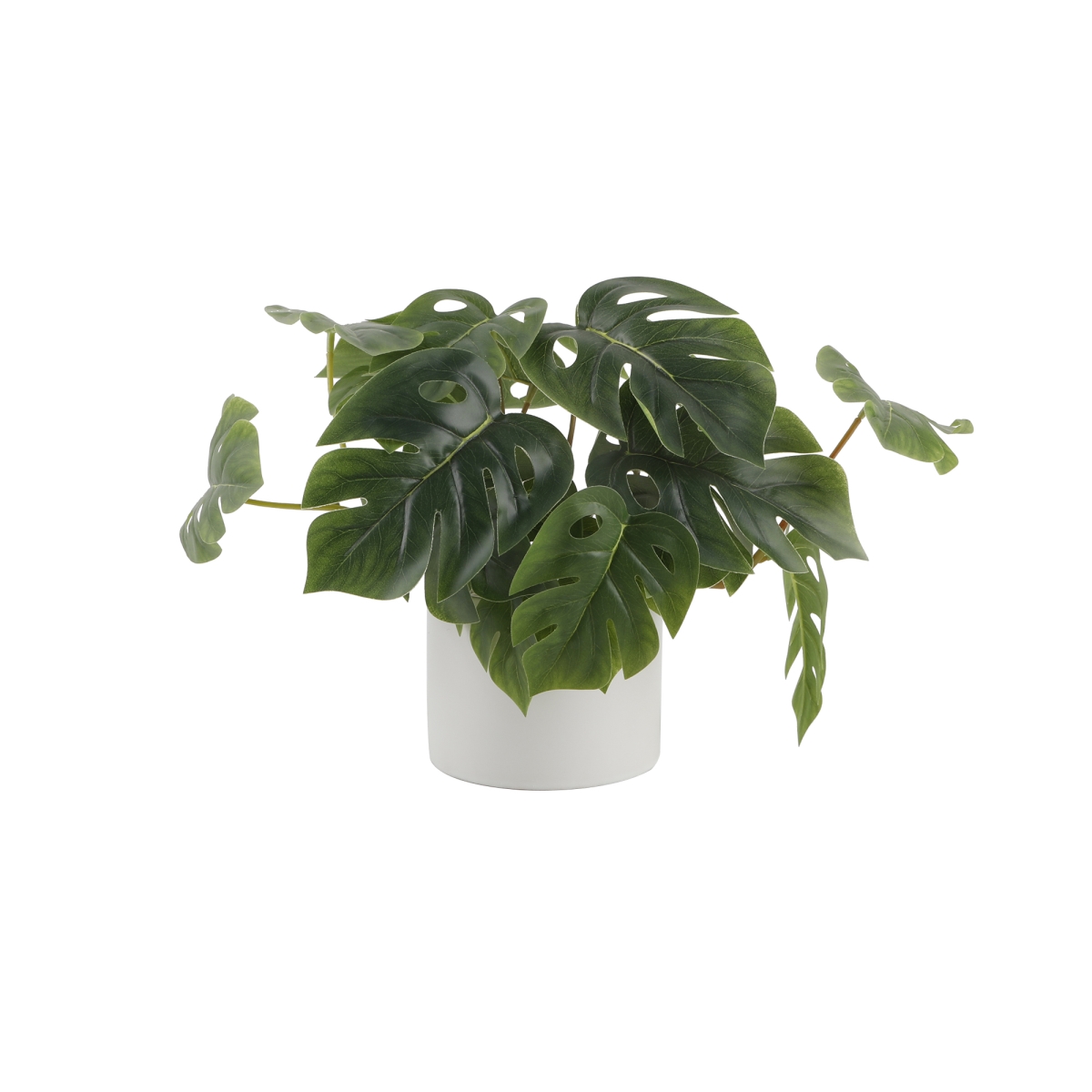 CS5993E-MTWH Trailing Split Leaf in 4.5' Ceramic Pot  4.7X4.7X3.75