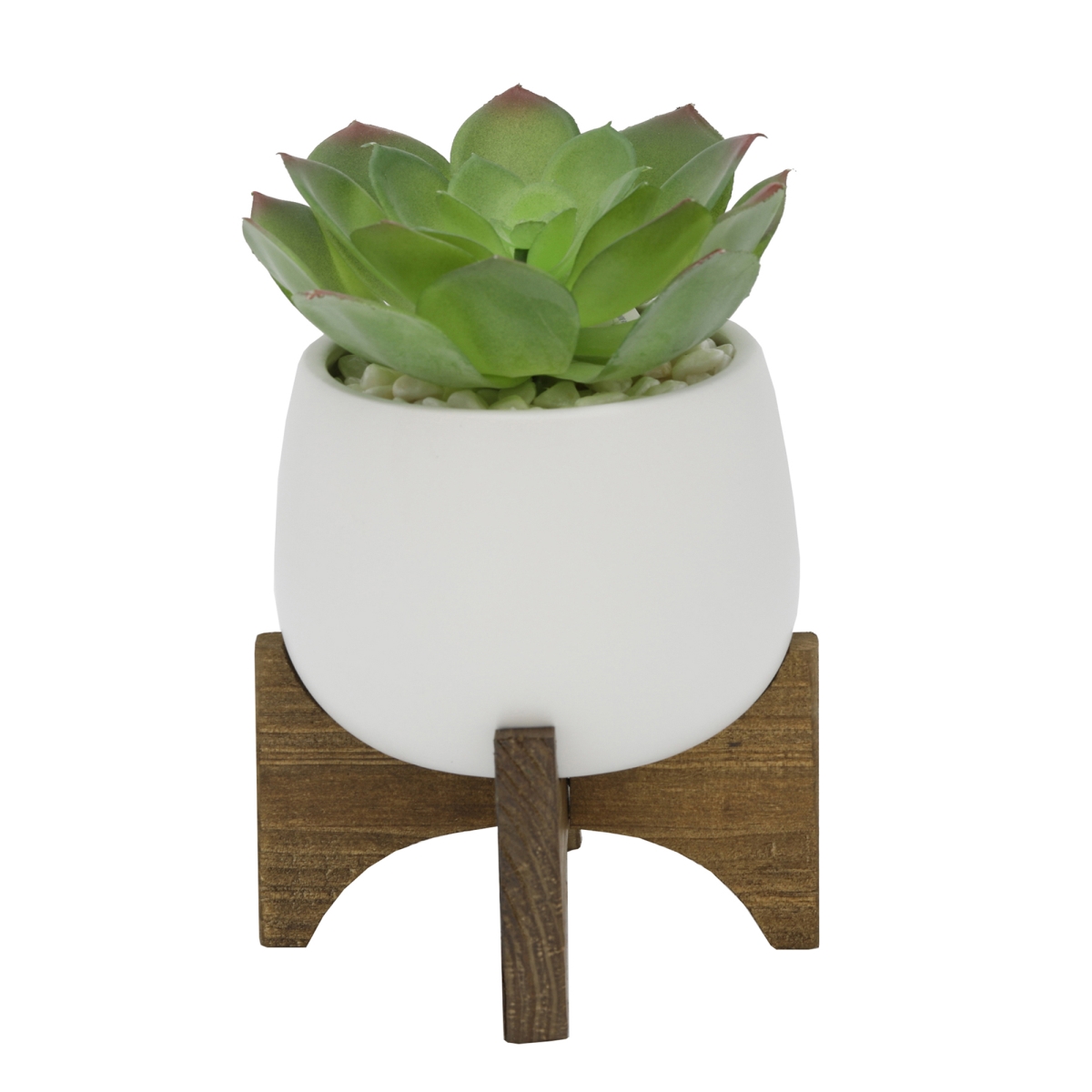 CS2783E-MTWH SUCCULENT IN 4.5' MATTE WHITE CERAMIC PLANTER on WOOD STAND
