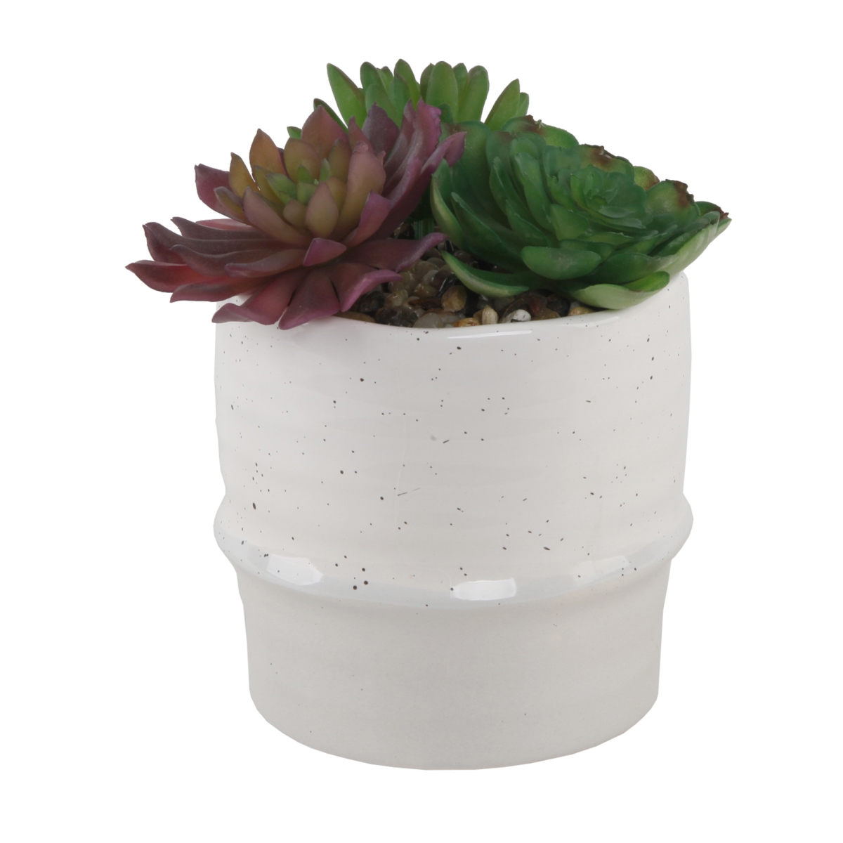 CS2435E-CRM/BE Succulent Mix in Two Tone Ceramic Planter,Cream/Beige