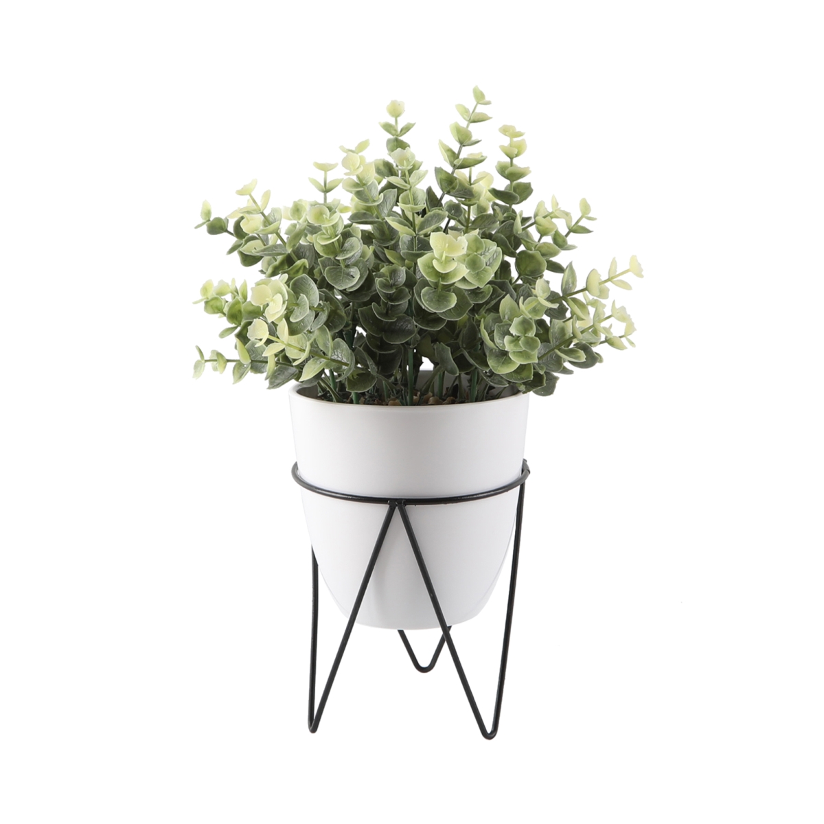 CS5029E-WH 12' EUC in 4.75' WH Pot in BK Metal Stand