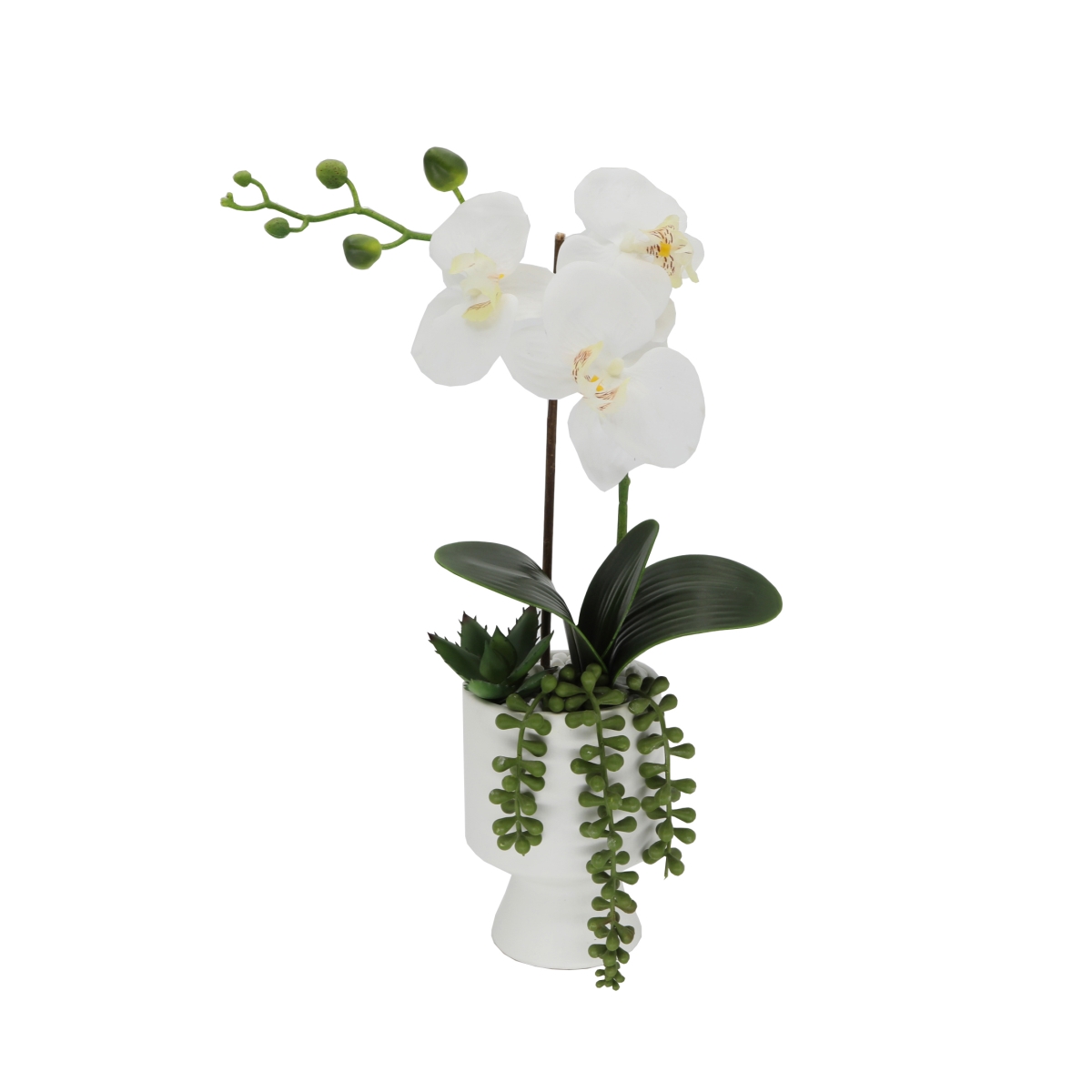 CS3763E-WH 16' Real- touch Orchid in Ceramic Pot