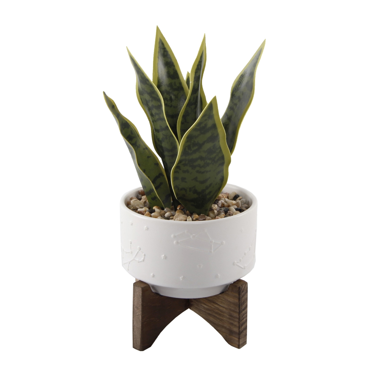 Snake Plant in Constellation Ceramic Pot on Wood Stand - Matte White - 9.7ft.
