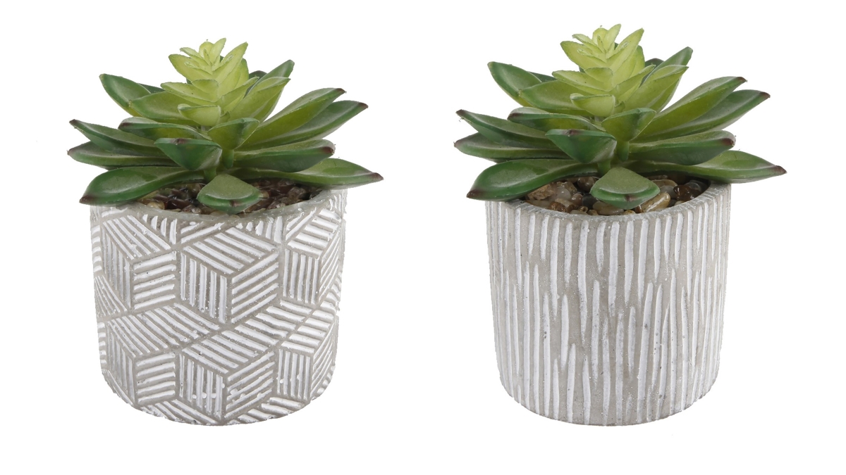 CS2243E2 Set of 2 Pattern cement pot