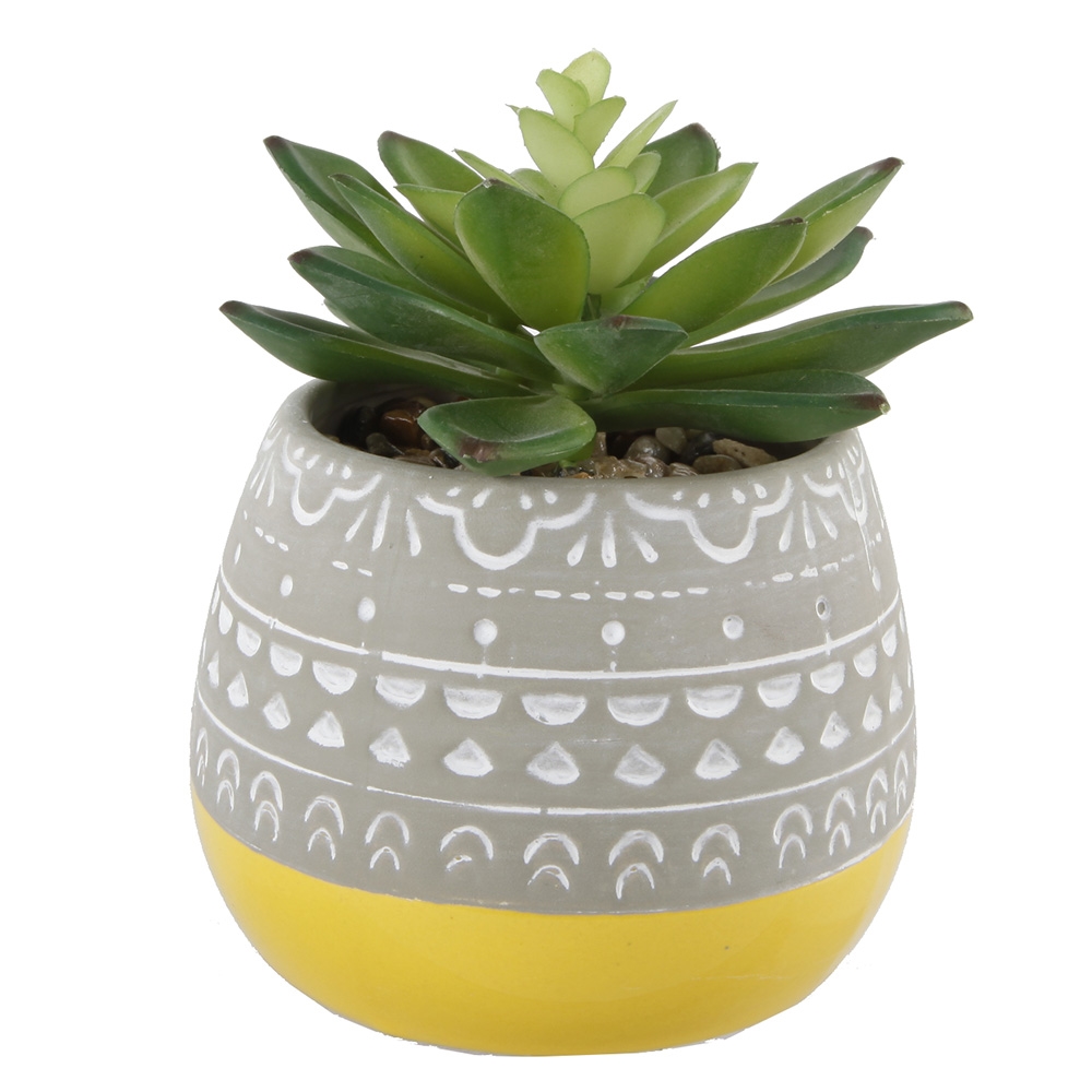 CS2328E-YL Succulent in 2 TONE Mayan CERAMIC POT,Yellow