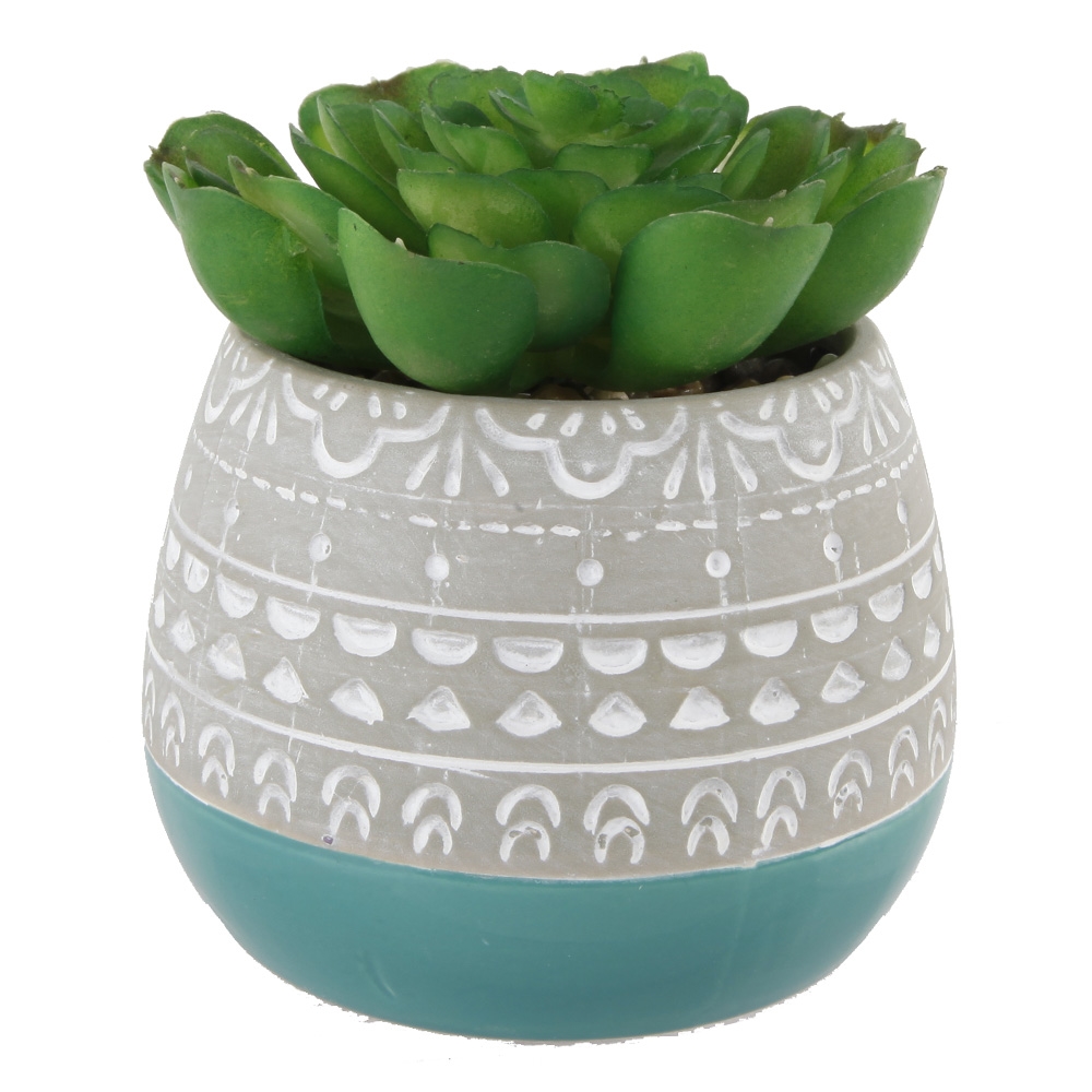 Succulent in 2 TONE Mayan CERAMIC POT,Teal