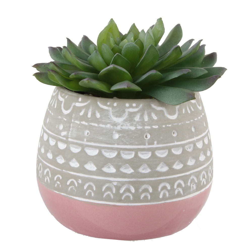 Succulent in 2 TONE Mayan CERAMIC POT,Pink