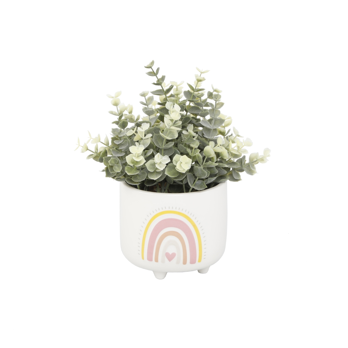 Eucalyptus in 4.75'  Double Rainbow Footed Pot