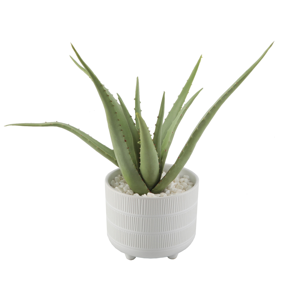 CS4321E-MTWH 14' Aloe in 6' Barcode Footed Ceramic