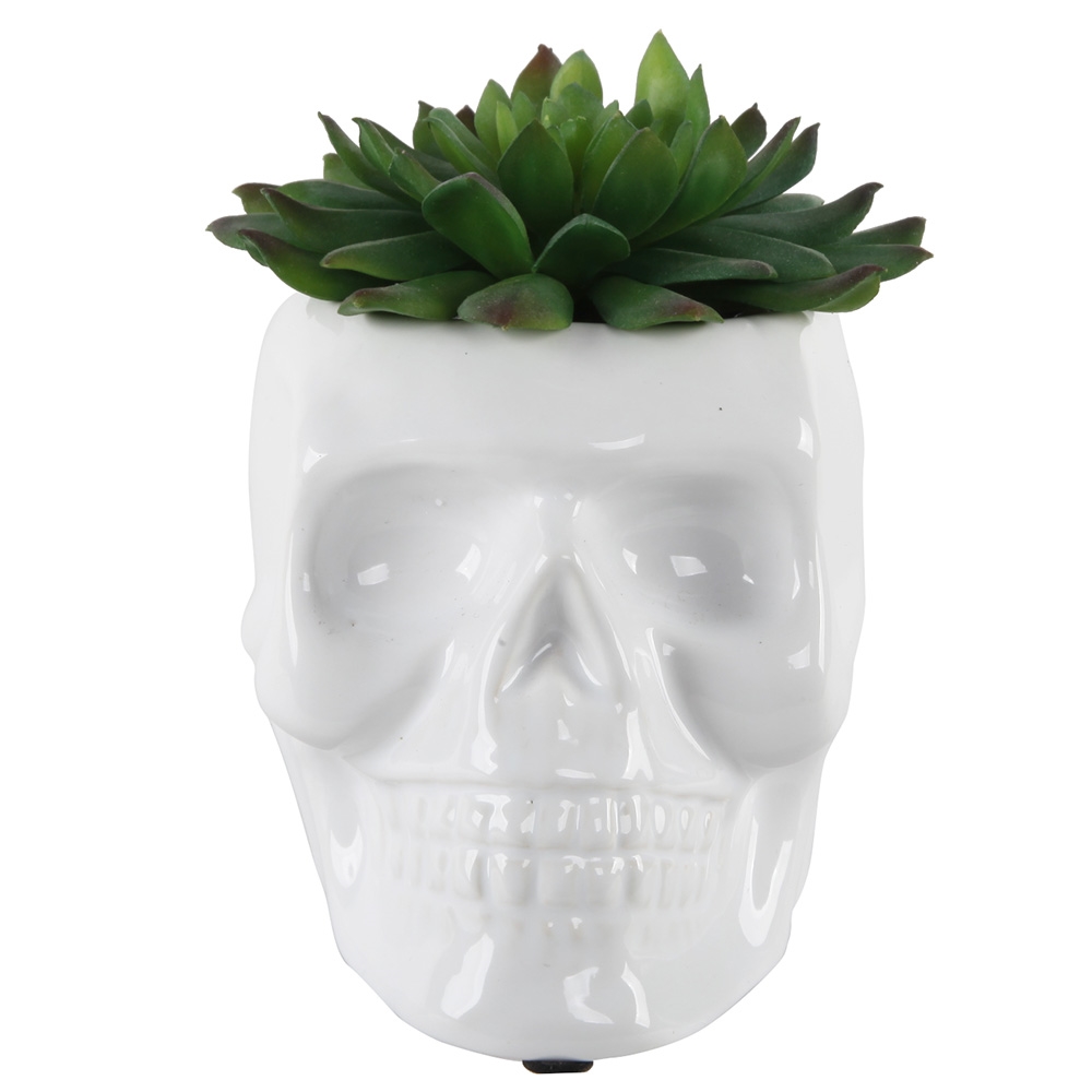 4.5X3.5 CERAMIC SUGAR SKULL SUCC, WH,E Pack