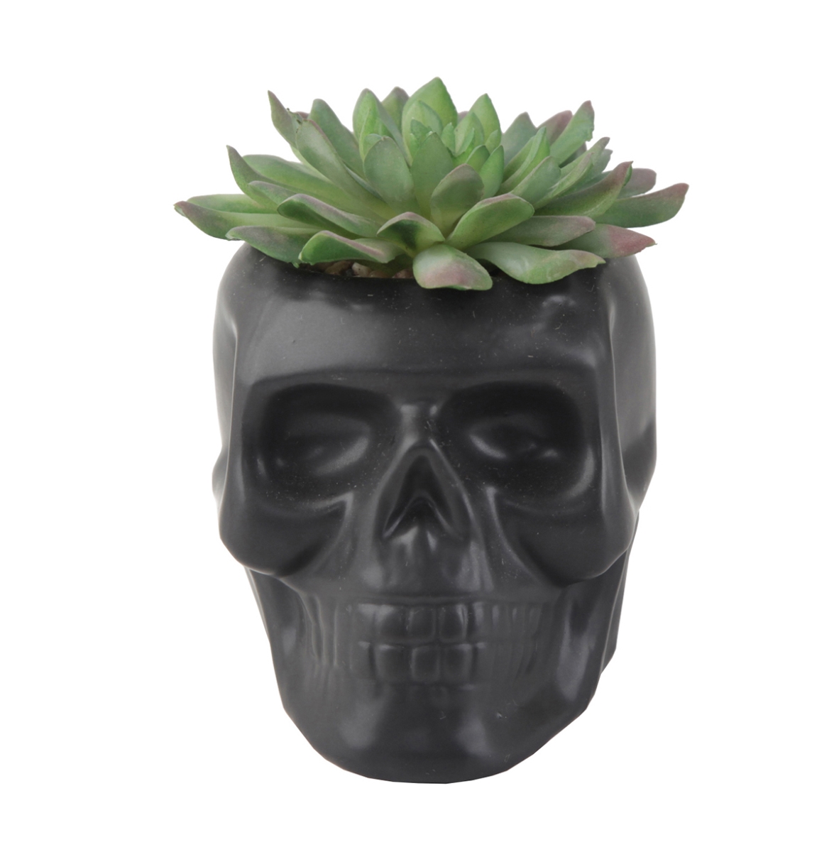 4.5X3.5 CERAMIC SUGAR SKULL SUCC, Matt Black