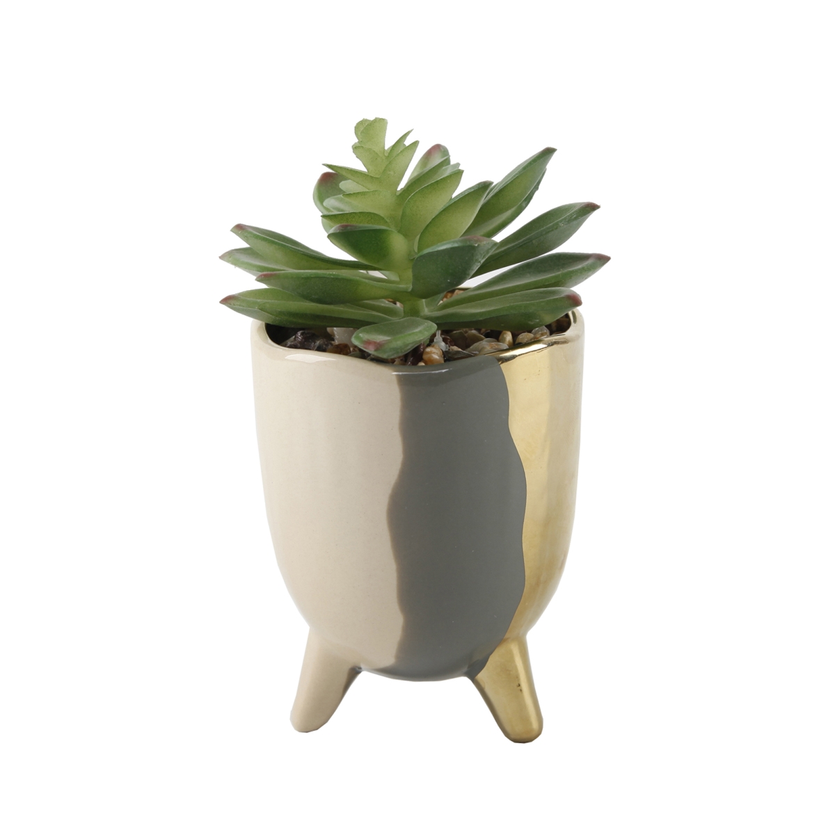 Succulent in 3.75' 3-TONE FOOTED CERAMIC,GREY