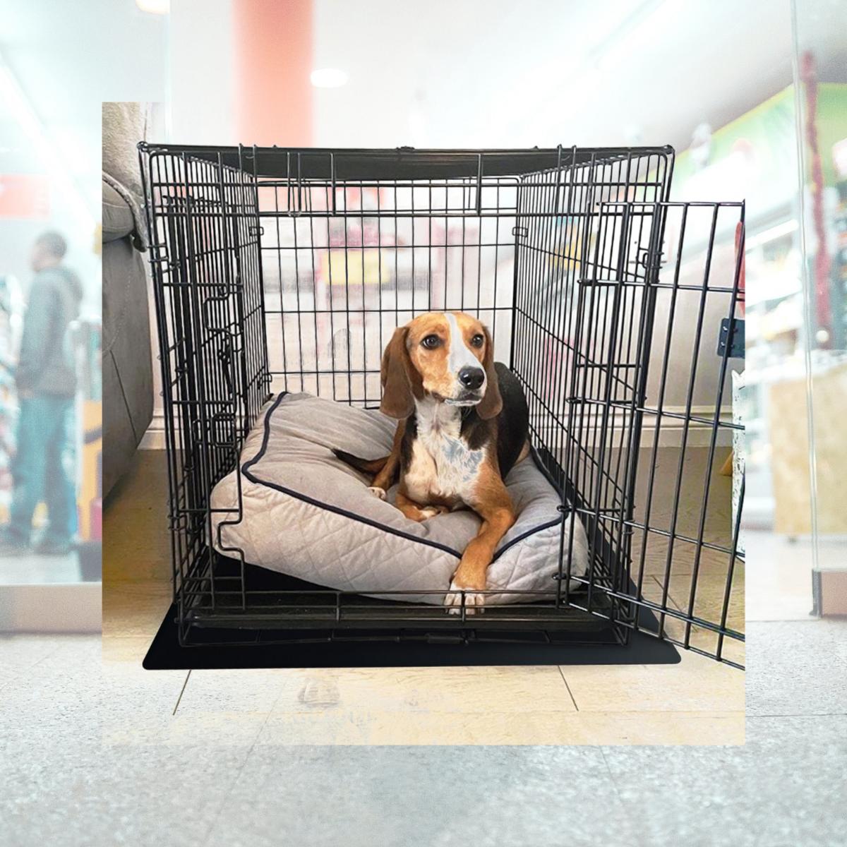 Picture of Floortex NCSMFLLS0001 20 x 26 in. P-Tex Pet Crate Floor Protection Mat, Black - Medium