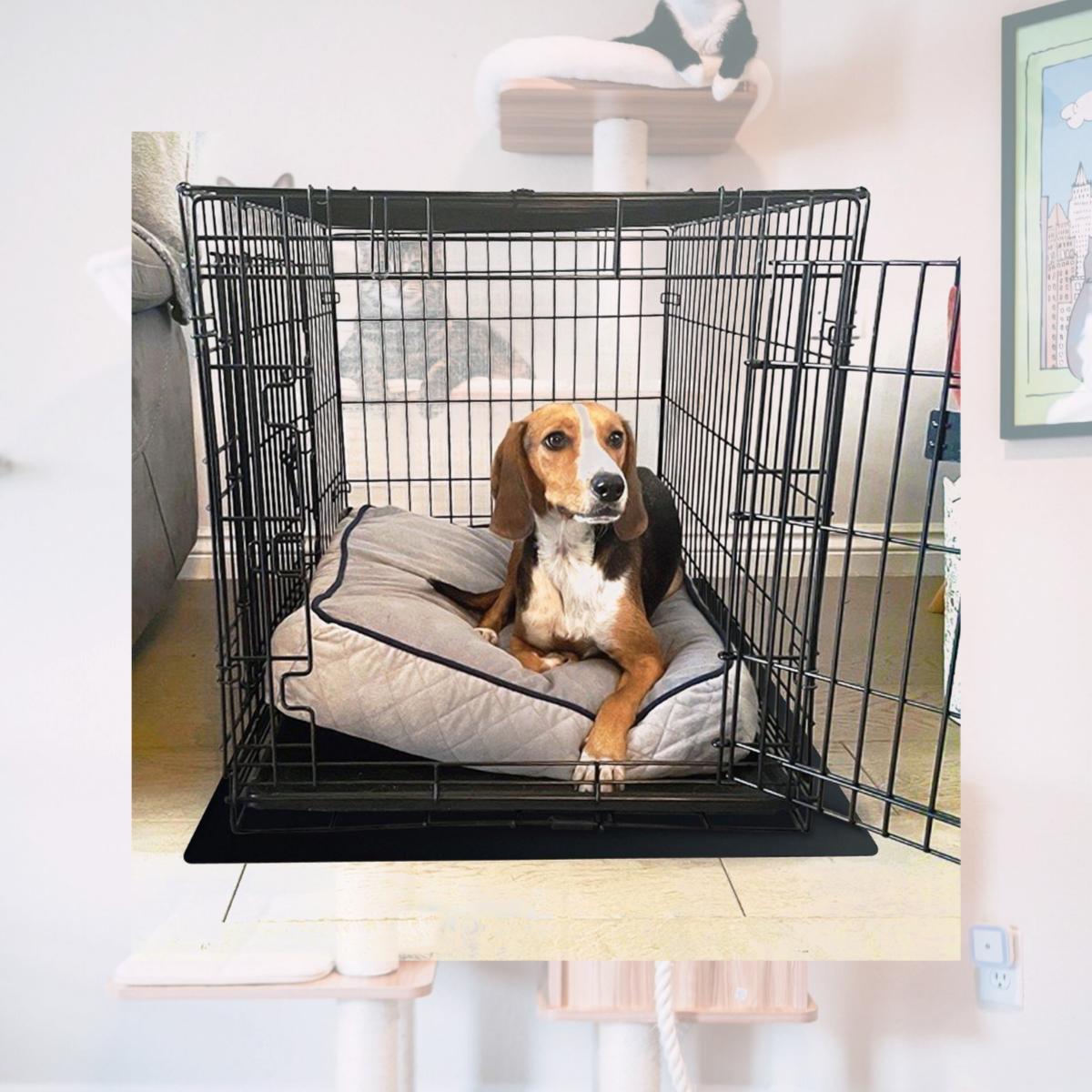 Picture of Floortex NCSMFLLS0003 32 x 50 in. P-Tex Pet Crate Floor Protection Mat, Black - 2XL