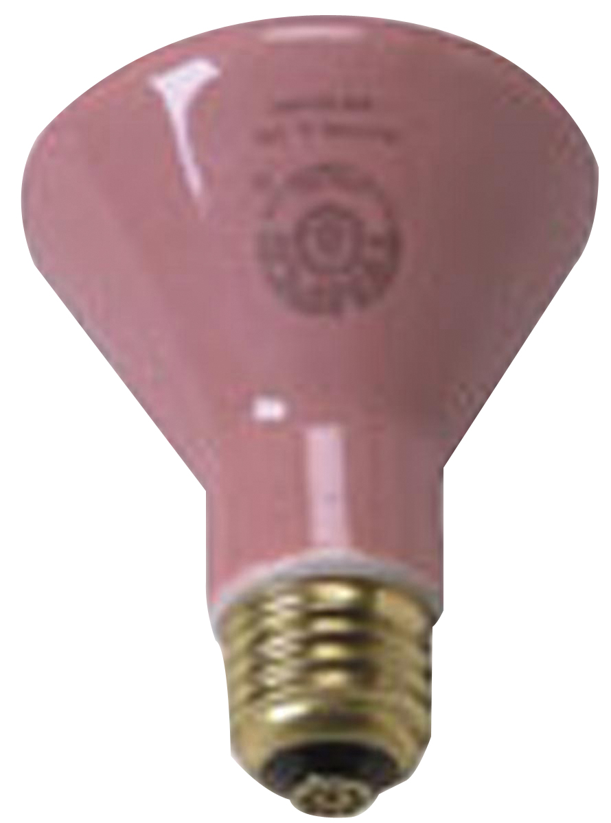 18-1370 250 watt Ceramic Bulb Accessories