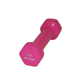 10-0550 1 lbs Color-Coded Vinyl Coated Iron Dumbbell, Pink -  Fabrication Enterprises