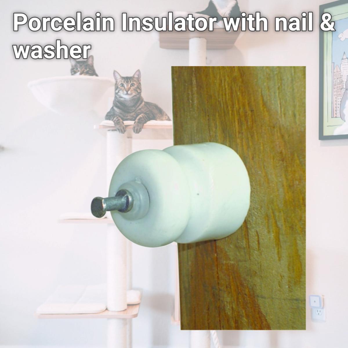 Picture of Field Guardian FAP142 Porcelain Insulator with nail & washer