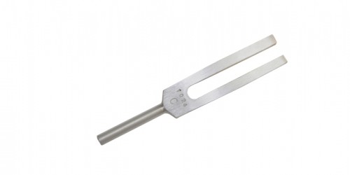 Picture of Fabrication Enterprises 12-1469-25 Tuning Fork, 1024 cps - 25 Each