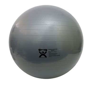 30-2075 85 cm Cando Inflatable Abs Ball, Silver