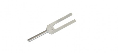 Picture of Fabrication Enterprises 12-1471-25 Tuning Fork, 4096 cps - 25 Each
