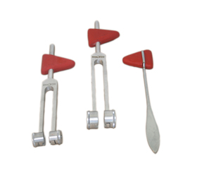 Taylor Hammer with 128 cps Tuning Fork