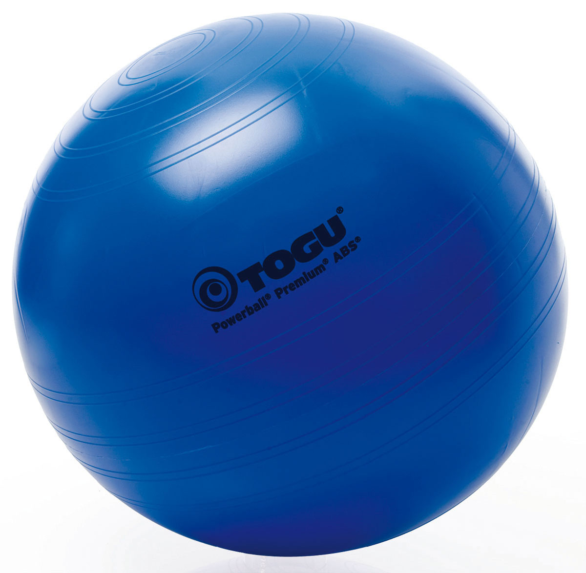 Togu 30-4010B 18 in. Powerball Premium ABS Exercise Ball, Blue -  FUJITSU SERVERSTORAGE