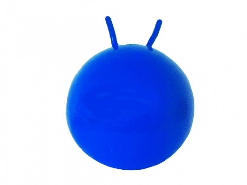 55 cm Cando Vestibular Jump Ball