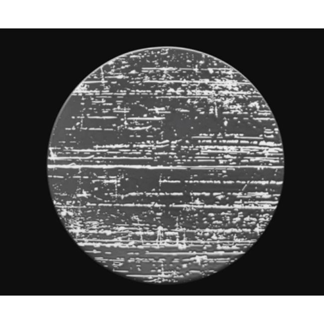 Picture of Oneida DZ2501021GR 8 in. Round Dishwasher Luzerne Plate