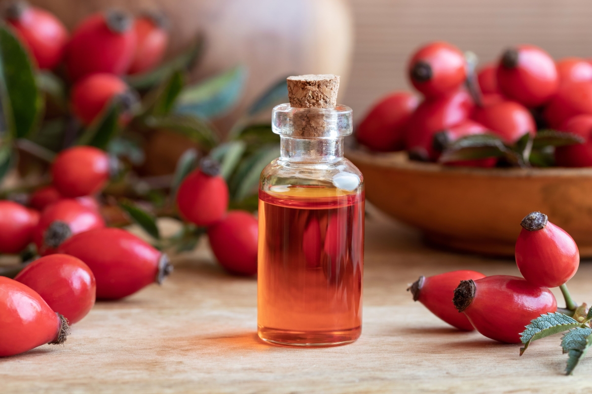ARO-RHO-008 8 fl oz Rose Hip Complementary Oil