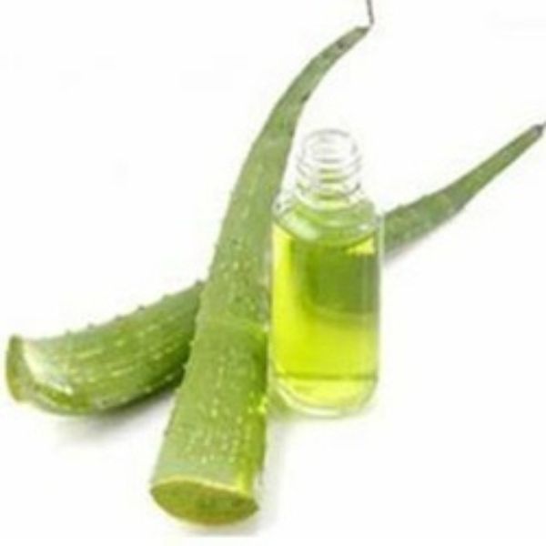 ARO-AVO-008 8 fl oz Aloe Vera Complementary Oil