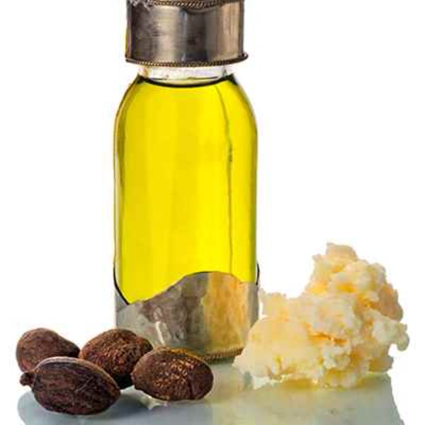 ARO-SNO-016 16 fl oz Shea Nut Complementary Oil